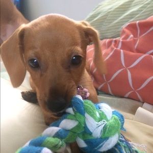 Meet your Posher, June